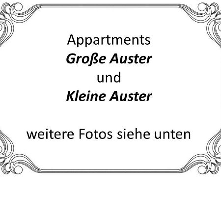 Auster-Appartements Saarbrücken Dış mekan fotoğraf