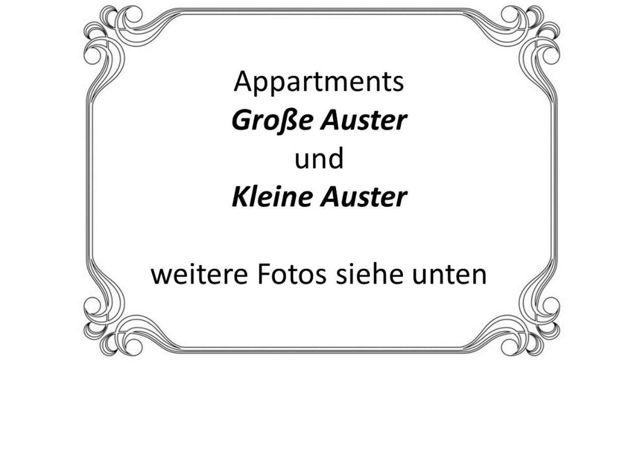 Auster-Appartements Saarbrücken Dış mekan fotoğraf
